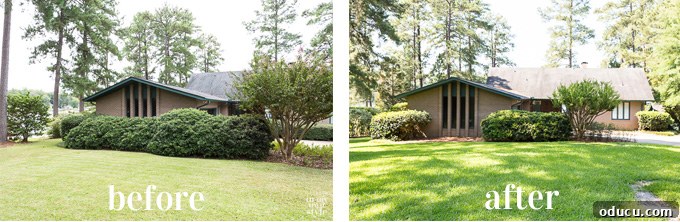 One way to brighten a dark room is to make sure you cut trees and shrubs in front of them. Before and after view of a house exterior window, demonstrating the impact of trimming shrubs on increasing natural light indoors.