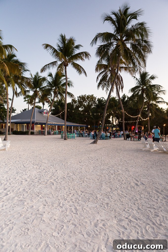 Keys Island Drive Adventure 14 Outdoor dining setup at a restaurant on Islamorada, Florida