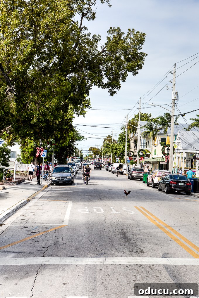 Keys Island Drive Adventure 18 Charming street scene in Key West, Florida, with colourful buildings