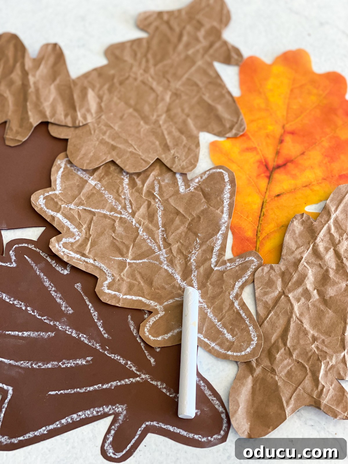 brown paper cut into oak leaves and outlined in white chalk.