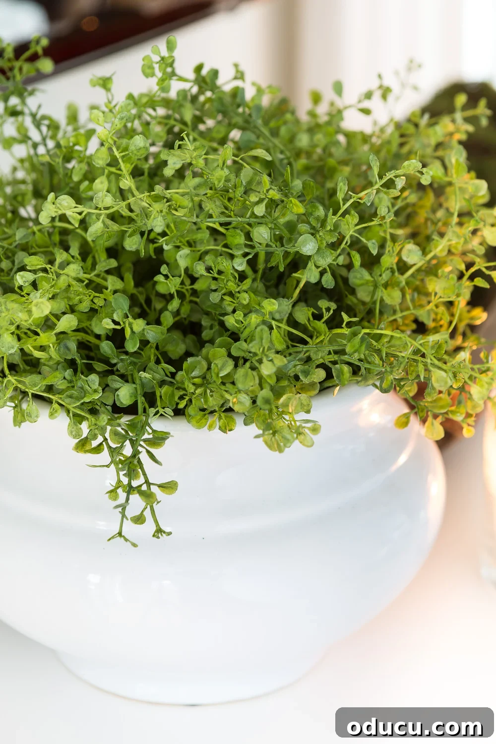 Fake greenery in ceramic white planter on buffet under TV