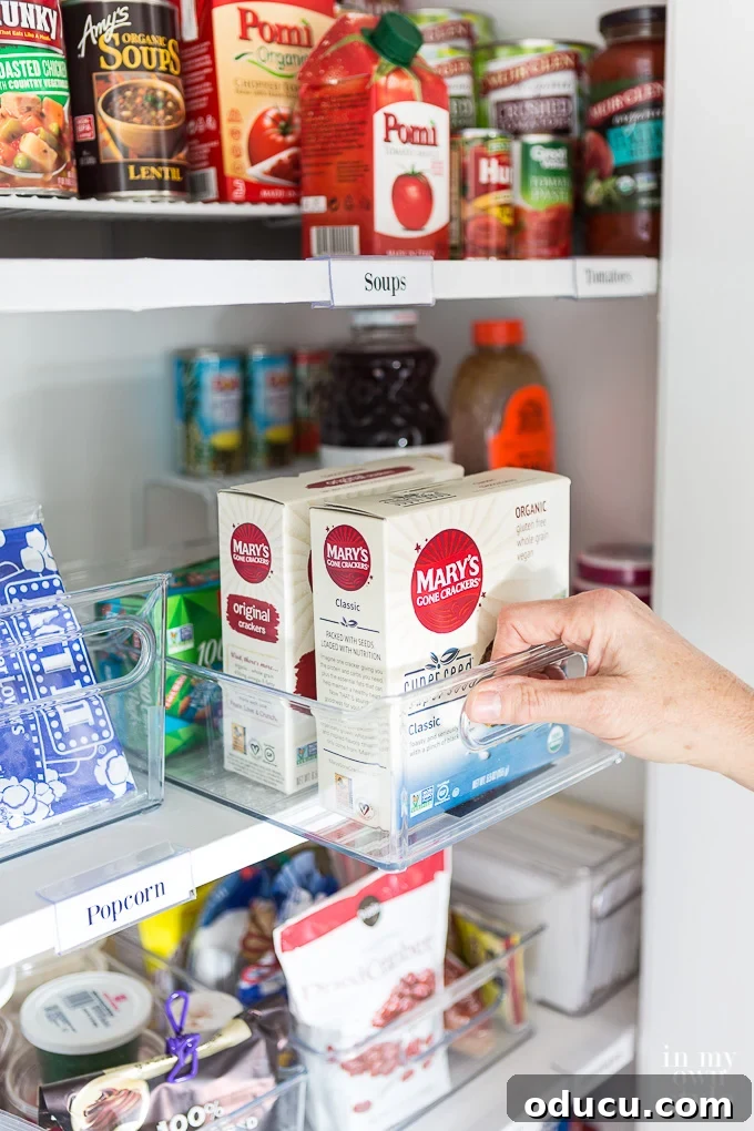 Simplify your living space with smart decluttering and organization tips. A well-organized small pantry closet with labeled containers, demonstrating effective decluttering and storage solutions for a streamlined home.