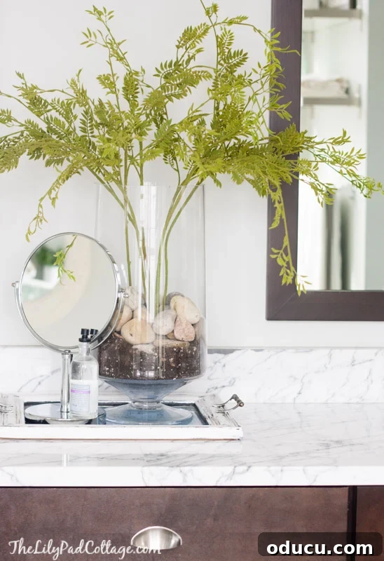 how to ideas to arrange indoor plants in glass vases