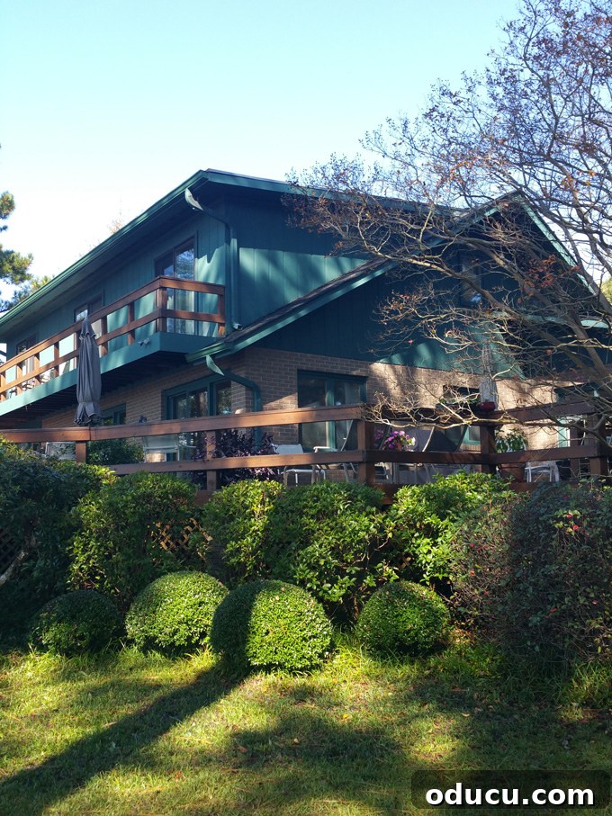 From Faded to Flawless: Exterior Home Painting 11 side view of teal green and tan brick house