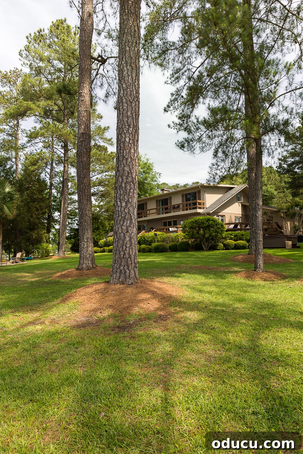 From Faded to Flawless: Exterior Home Painting 13 Lake house in rustic tree lined setting