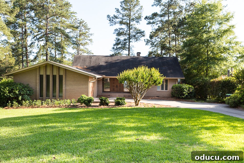 From Faded to Flawless: Exterior Home Painting 7 Front of house in dabbled shade