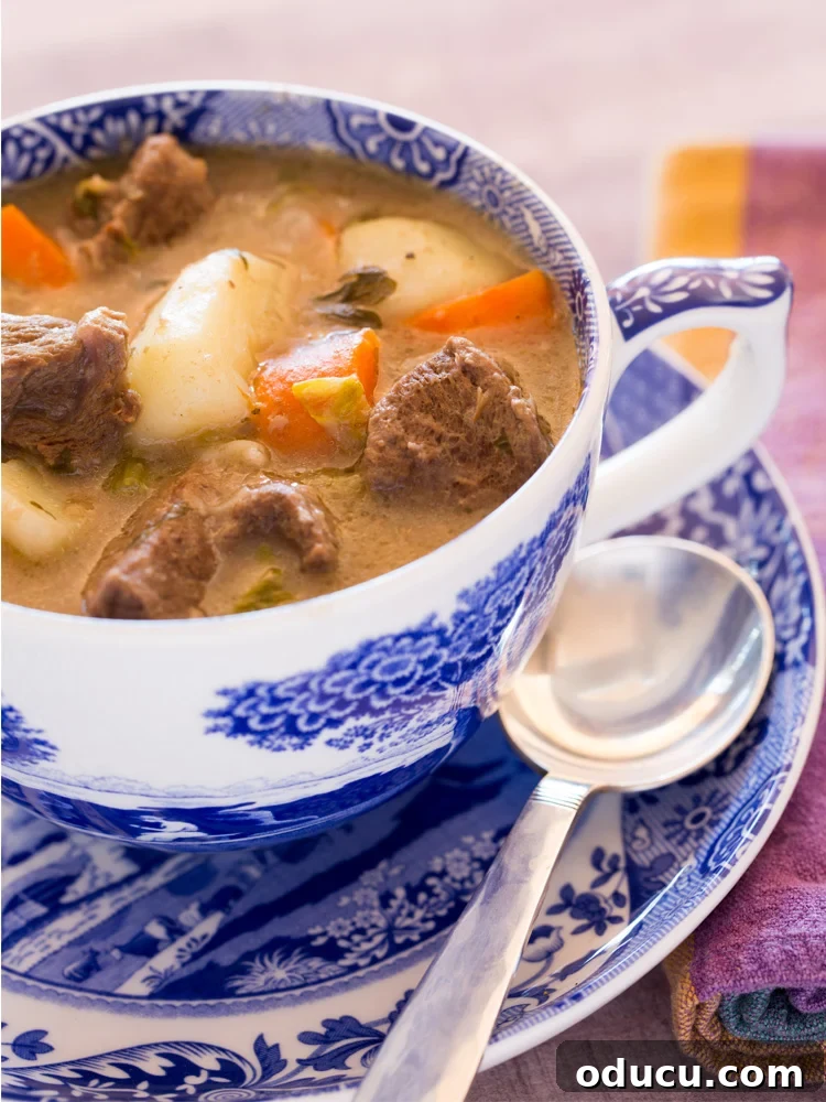 The Soul of Home: Found in the Little Things 2 A cozy blue and white mug filled with a hearty beef stew, symbolizing the joy of everyday meals served with intention.