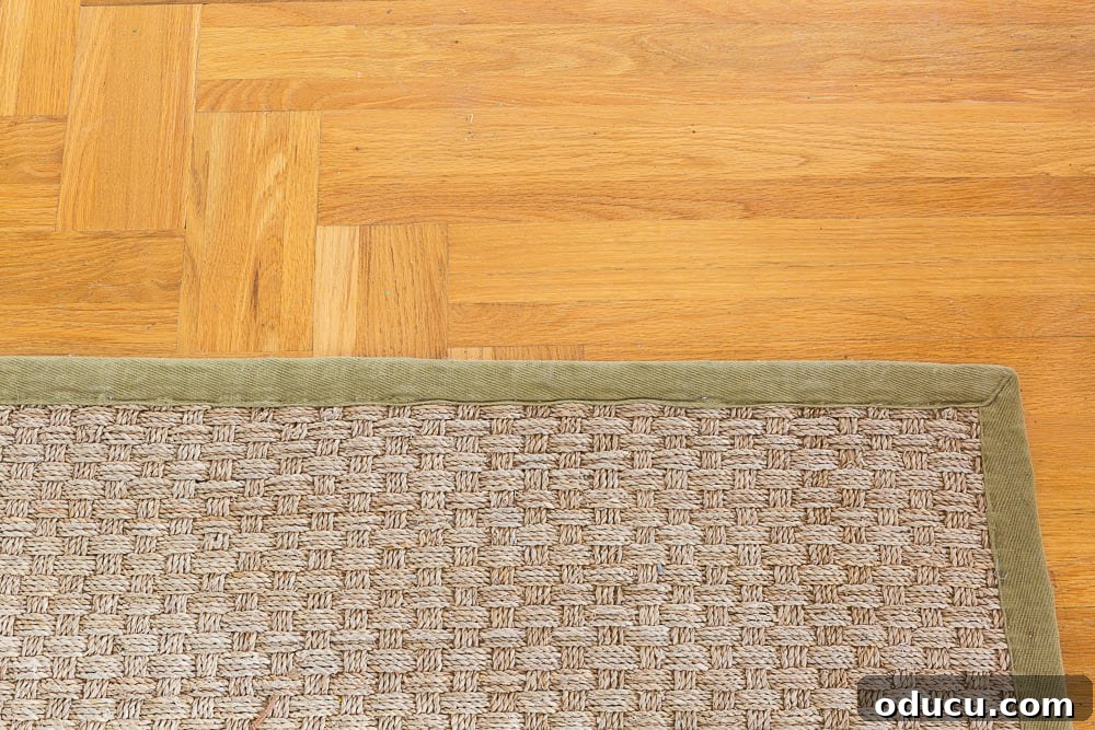 Customizing Your Seagrass Rug with Paint 3 Seagrass area rug before painting canvas border another color.