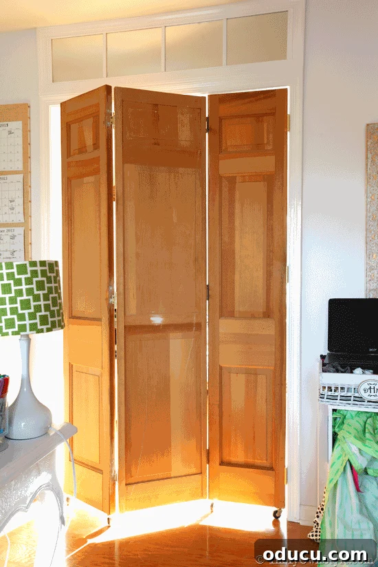 Still Relevant 22 Before image of thrift store bifold doors for a DIY rolling door project