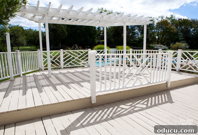 Still Relevant 27 How to paint a deck with Deck and Concrete Restore, showing initial success