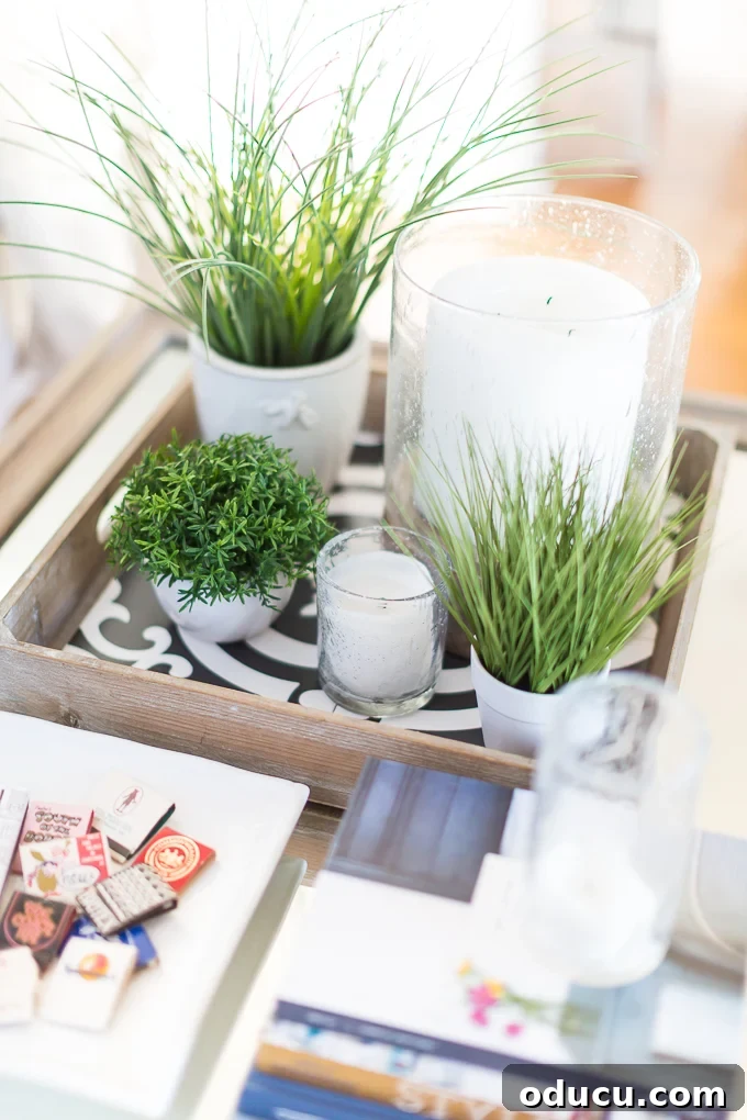 Echoes in Every Element 2 Faux green plants grouped together on a coffee table, adding a touch of freshness to a meaningful home setting.