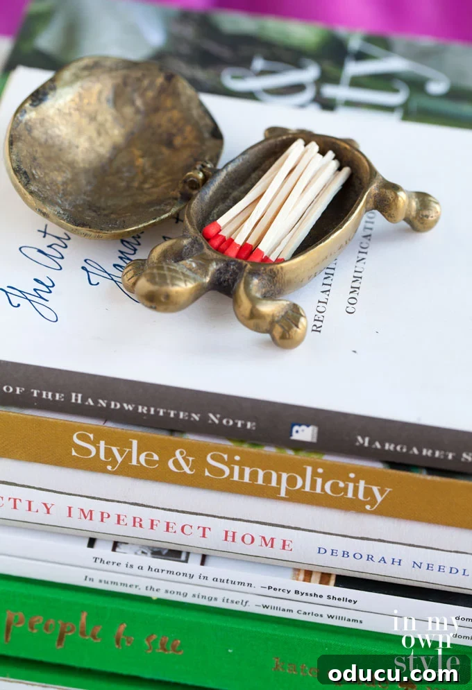 Echoes in Every Element 12 A vintage brass turtle that opens to hold matches, a cherished item with deep personal meaning, always kept on display in the home.