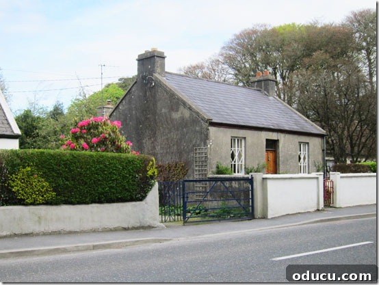 Ireland-houses-hedges Quaint Irish homes with perfectly manicured hedges, showcasing rural charm