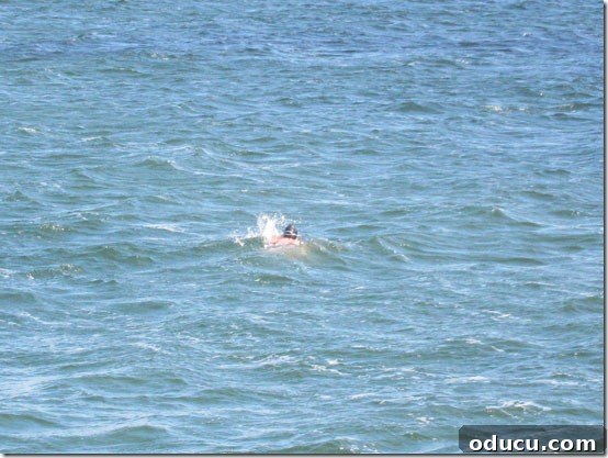 Ireland-Galway-Salthill-Swi Brave swimmers taking a dip in the chilly waters off Salthill, Galway