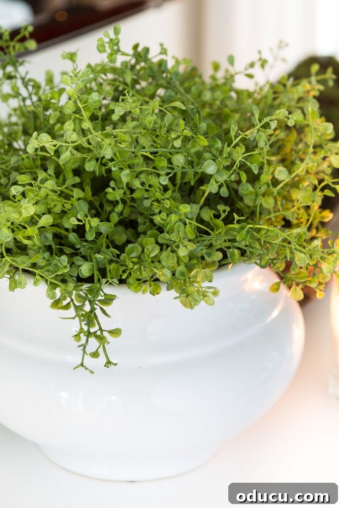 Style Expeditions Vol 8 4 Fake greenery in a sleek ceramic white planter on a buffet under a TV, offering modern and effortless decor.