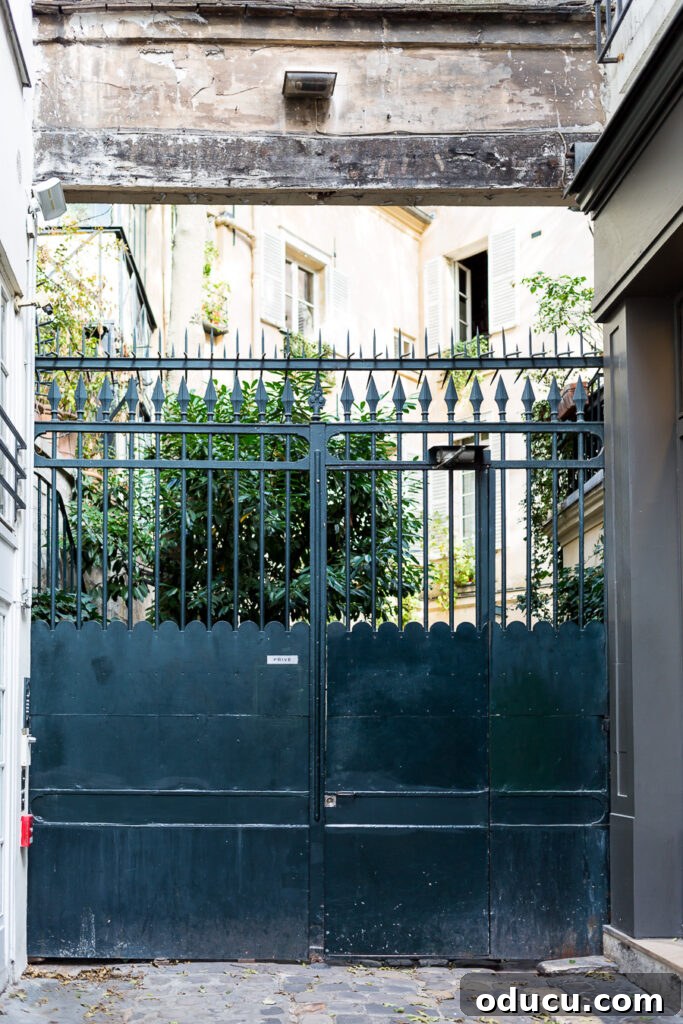 An ornate gate leading to the inner courtyard of a beautiful apartment building in Paris, revealing a hidden oasis of tranquility from the city bustle.