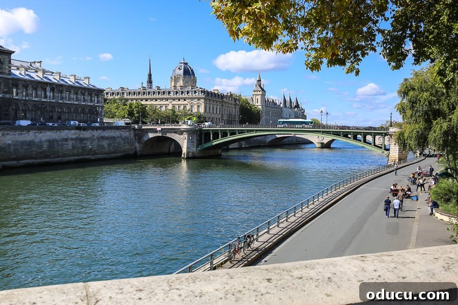 A charming bridge gracefully spanning the Seine River in Paris, reflecting the city's architectural beauty and serene waters.