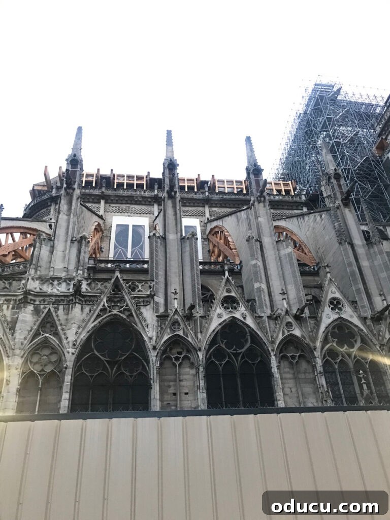 An up-close view of Notre Dame Cathedral after the fire, revealing the extensive damage and ongoing restoration efforts from a unique angle.