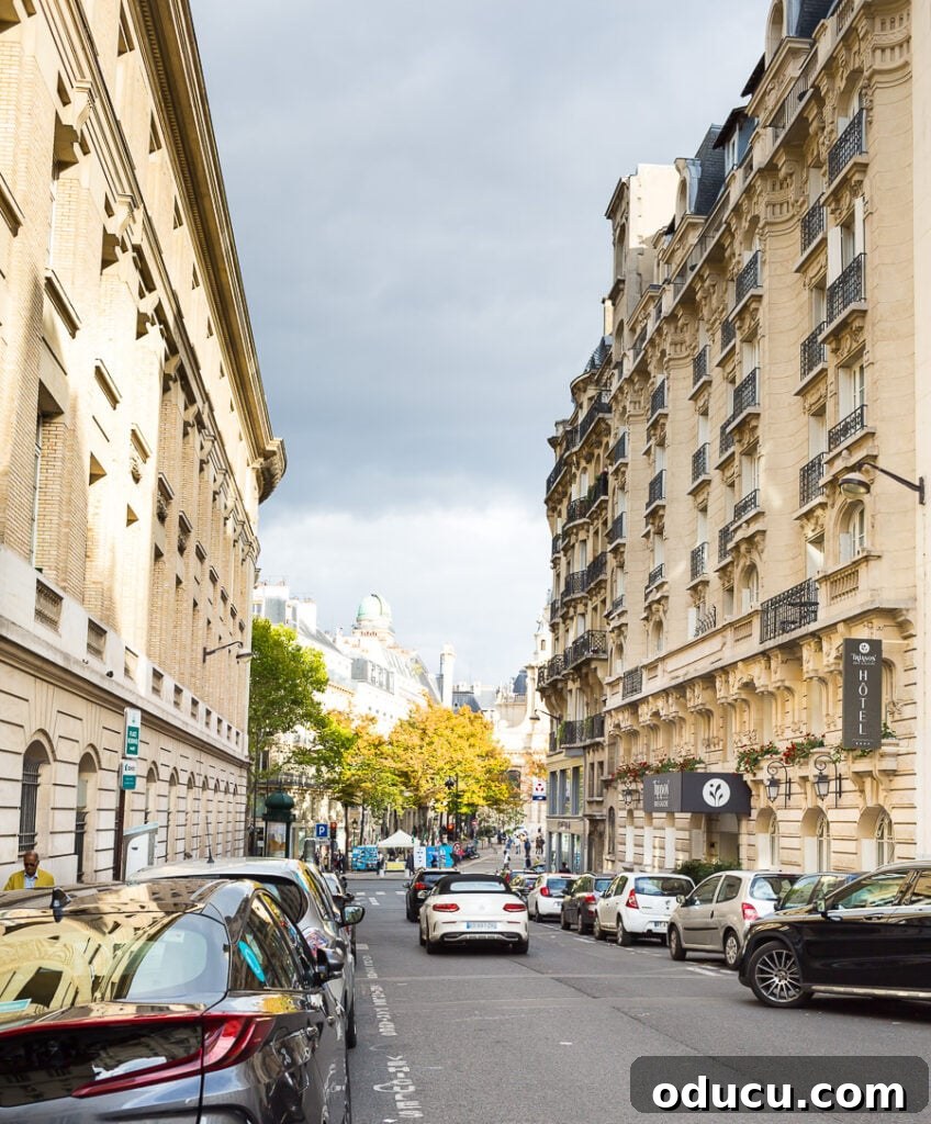 Rue de Vaugirard in Paris, France, showcasing the vibrant street where the Trianon Rive Gauche Hotel is situated, amidst classic Parisian architecture.
