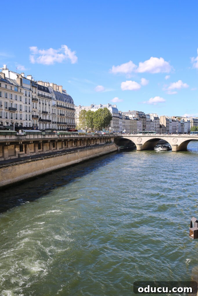 The tranquil Seine River in Paris, as seen from a picturesque bridge near the magnificent Notre Dame Cathedral, with city life bustling around.