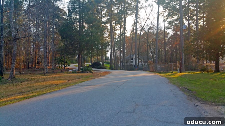 The Undeniable Magic of Living on Lake Murray in SC 14 Scenic streets around Chapin, SC, offering a blend of development and nature