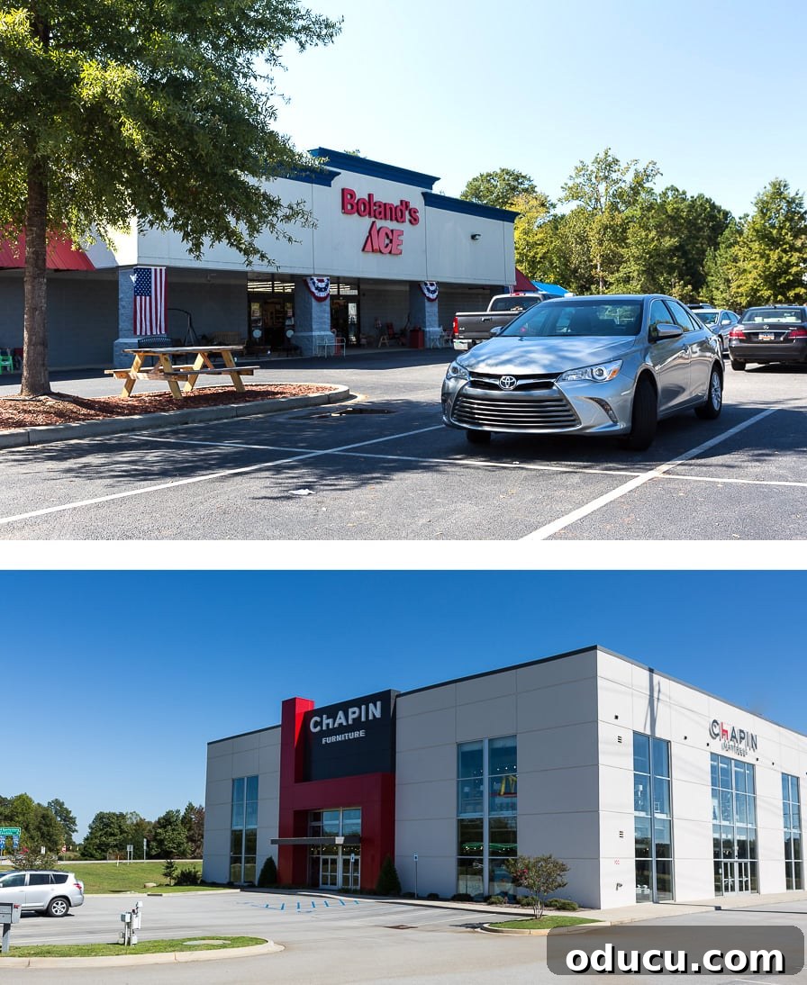 The Undeniable Magic of Living on Lake Murray in SC 20 Largest stores in the town of Chapin, SC, including essential retail