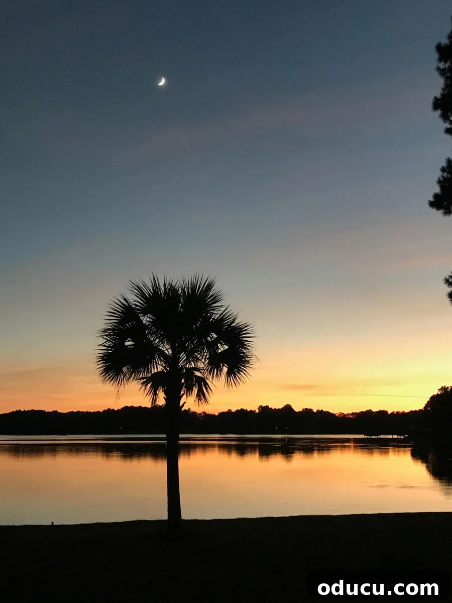 The Undeniable Magic of Living on Lake Murray in SC 31 Vibrant sunset over Lake Murray, casting a golden glow
