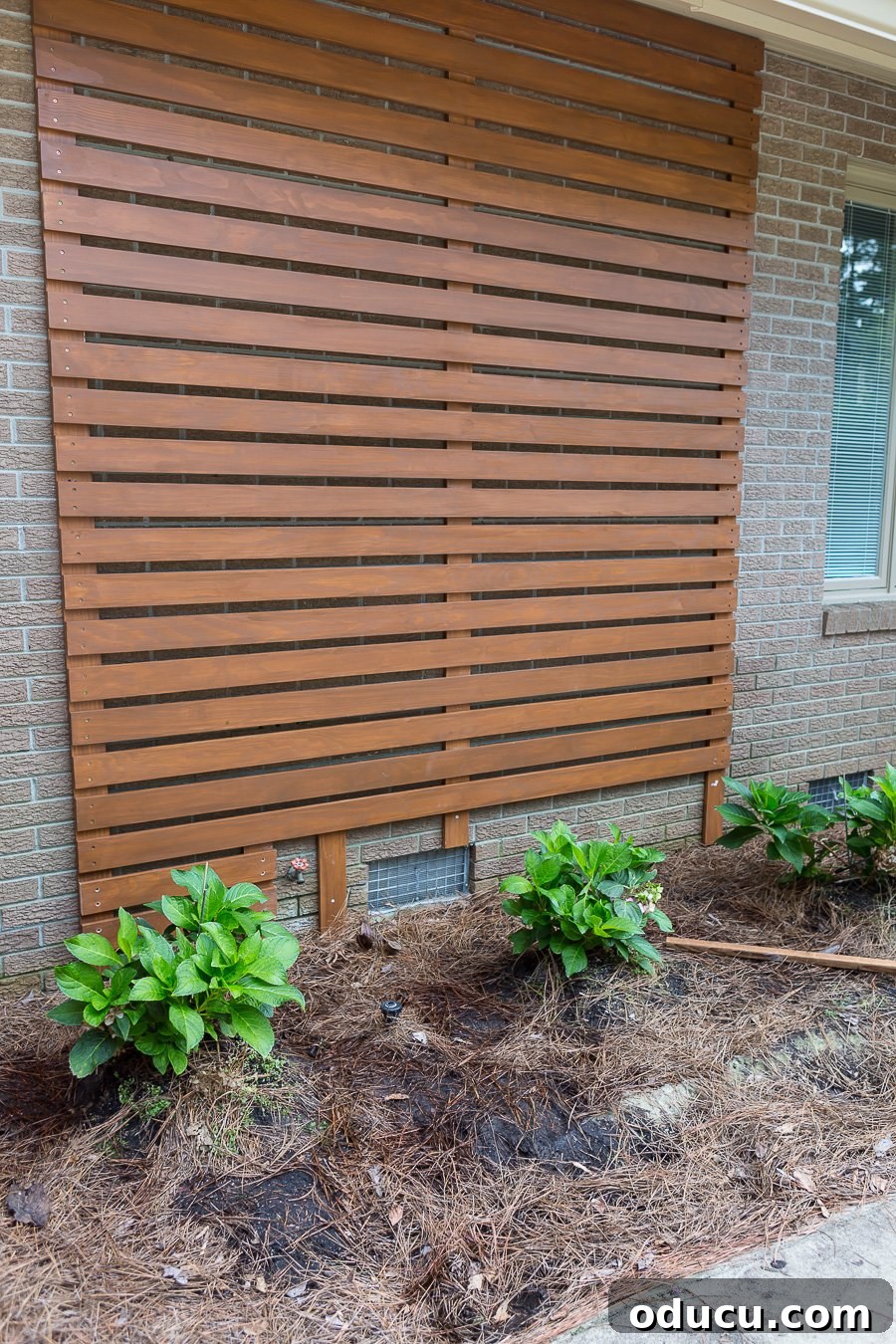 How to make a modern wood accent wall on the exterior of a home, showing custom cuts around a water spigot.
