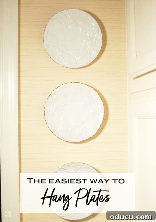 DIY Plate Hanger you can make in minutes with two things.