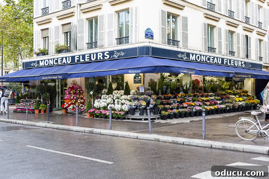 Discovering Paris on Foot 2 Flower Shop in St. Germain Paris