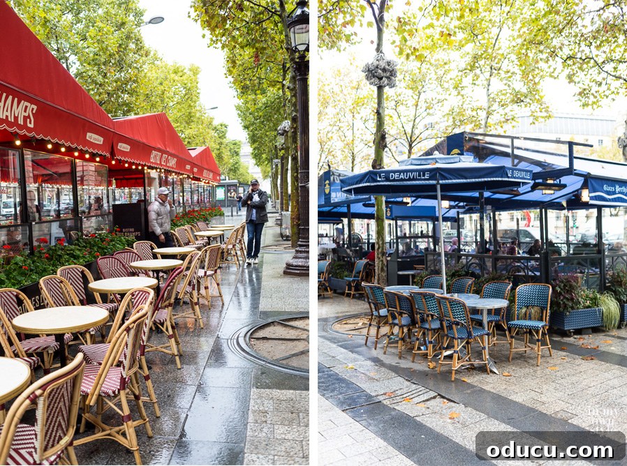 Discovering Paris on Foot 13 Cafes in Paris