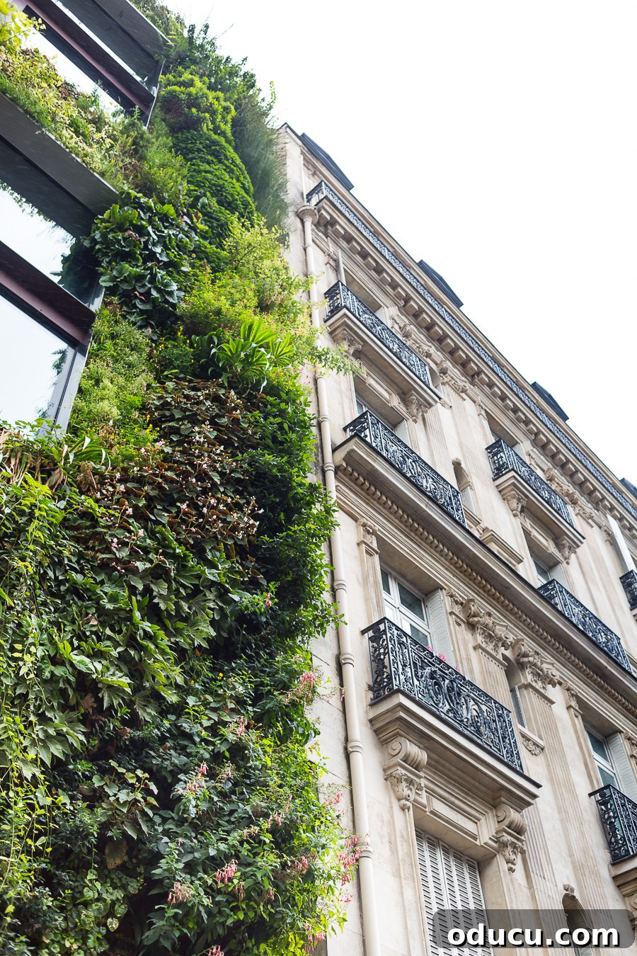 Discovering Paris on Foot 18 Facade of buildings in Paris