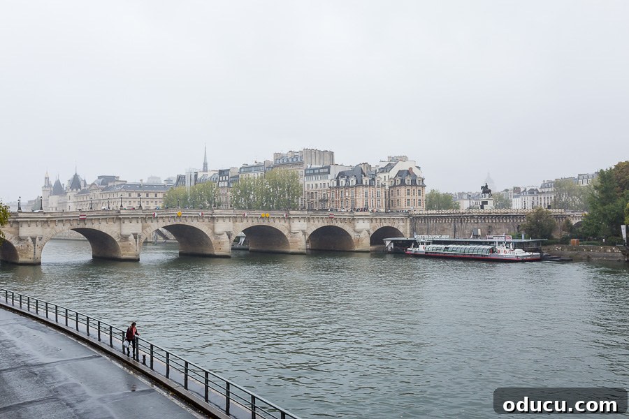 Discovering Paris on Foot 5 Bridge over Seine