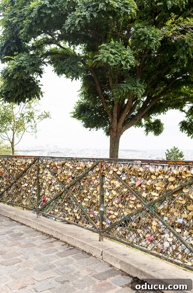 Ascending Paris's Masterpiece 16 Numerous 'love locks' intricately fastened onto a fence near Sacré-Cœur, symbolizing affection and romance.