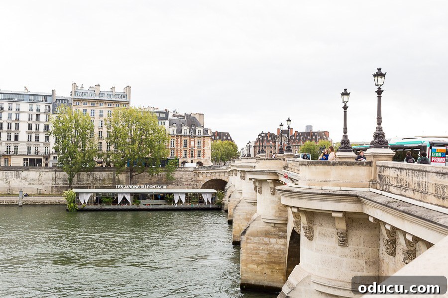 Ascending Paris's Masterpiece 22 The historic Pont Neuf Bridge spanning the Seine River in Paris, framed by the city's classic architecture.