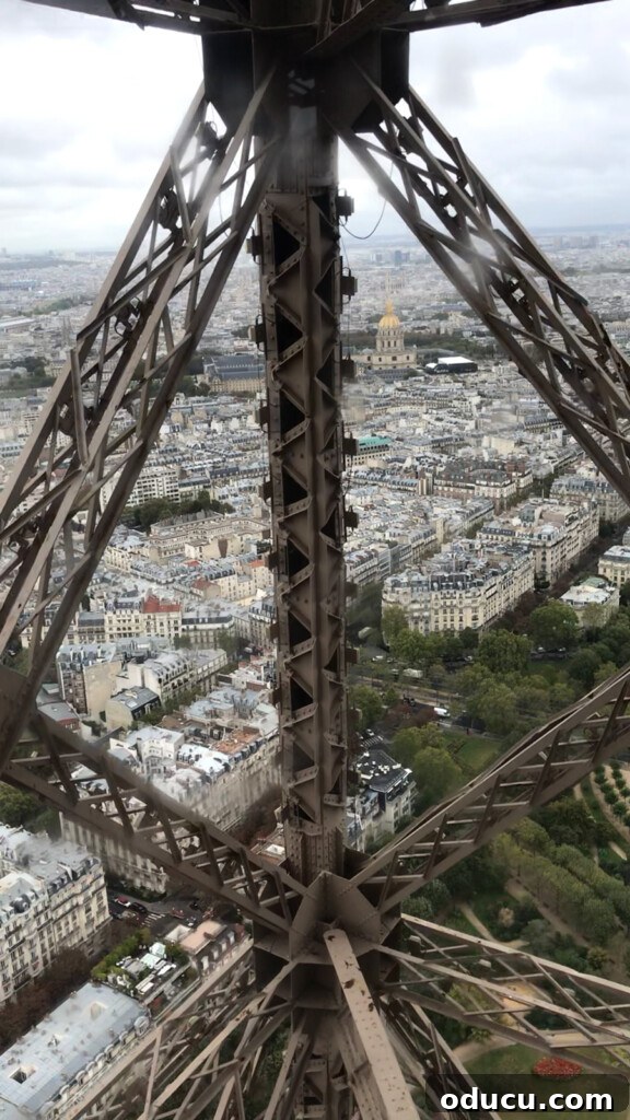 Ascending Paris's Masterpiece 4 A view from inside the spacious elevator ascending to the top of the Eiffel Tower, offering a glimpse of the accelerating perspective.