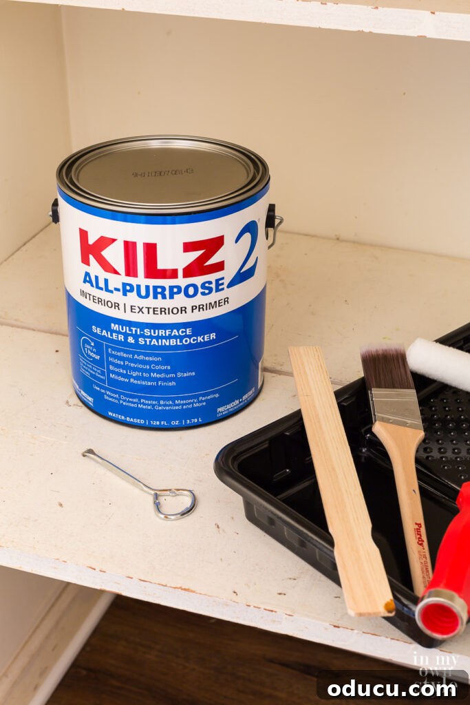 Why Primer Is Essential For Painting Over Stained Paint 6 KILZ 2 All Purpose Primer and paint supplies for a closet makeover.
