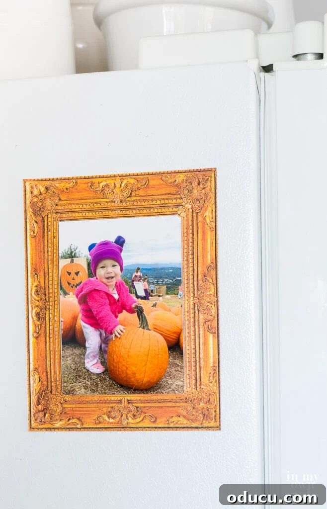 Completed DIY magnetic fridge photo frame made from a free printable, showcasing a beautifully displayed photo.
