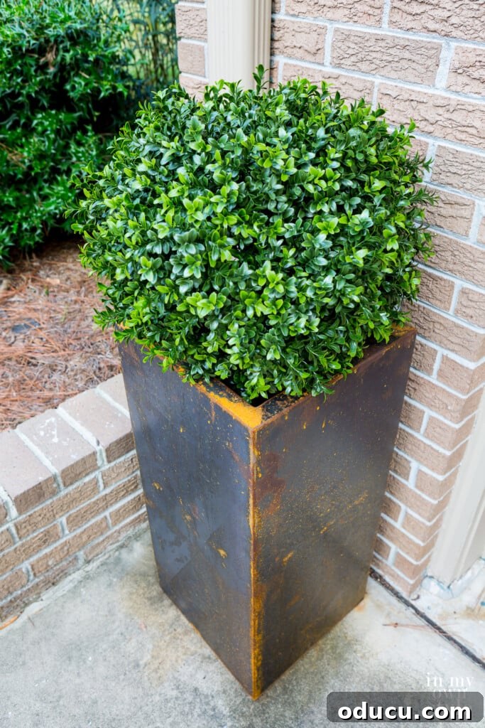 Unlock Corten's Rustic Beauty Instantly 3 Tall modern black Corten steel planter after a week of being outside, showcasing the early stages of oxidation. A realistic fake boxwood is placed inside the planter.