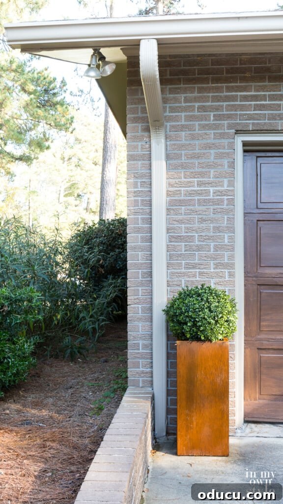 Unlock Corten's Rustic Beauty Instantly 9 Rusted Corten Steel tall planter with boxwood placed on a driveway next to a garage door, showcasing its finished look.