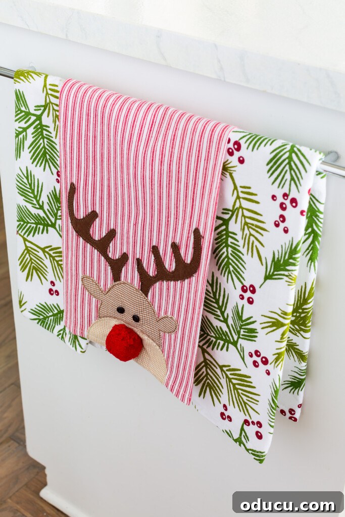 Craft Your Own Christmas Tree Paper Chain 4 Rudolph dish towel hanging on towel bar in kitchen