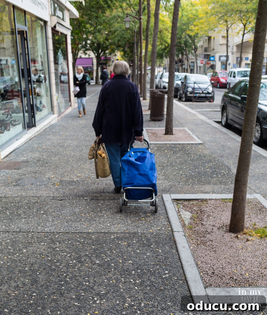 A Viking Voyage on the Seine 17 Shopping with a pull cart in France.