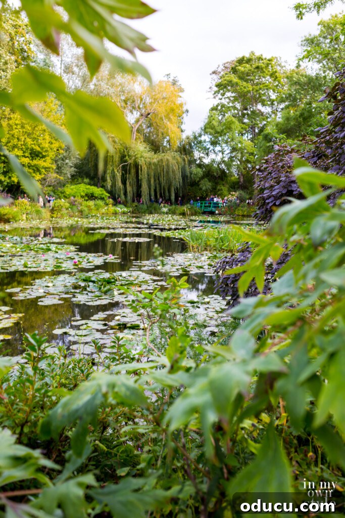 A Viking Voyage on the Seine 25 Claude Monet's Garden Water Lilies