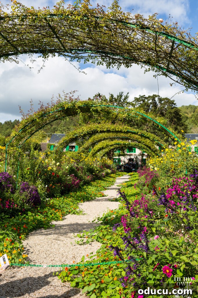 A Viking Voyage on the Seine 26 Claude Monet Water Lily Pond in Giverny France