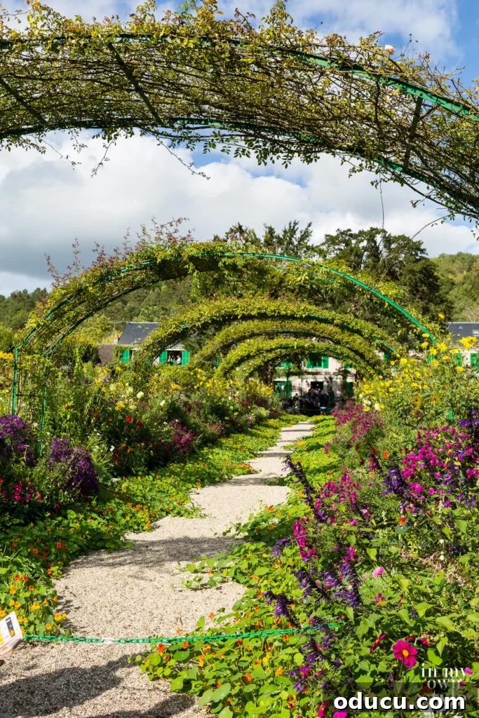An Iconic Viking Journey Along the Seine 26 The serene Water Lily Pond in Claude Monet's Garden in Giverny, France, a famous artistic inspiration.