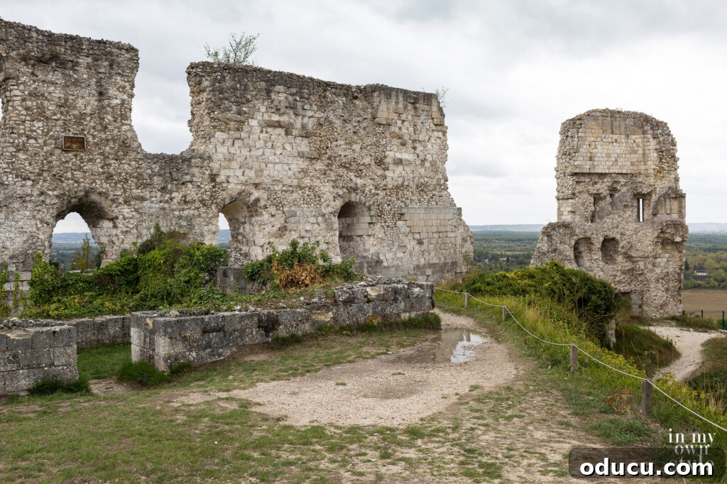 Seine Serenity A Viking River Cruise Through France 54 Inside the ruins of the Chateau Gaillard