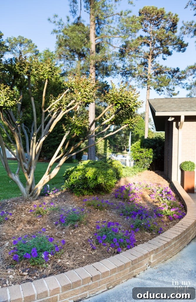 Rabbit Proof Flowers for Your Garden 8 A beautiful flower bed in front of a house during early evening.