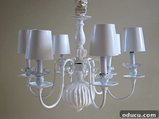 DIY-Chandelier-Makeover-wit img 6194 24