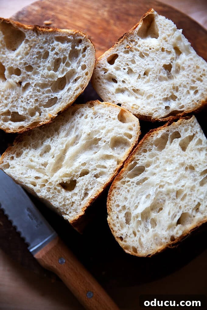 Autumn Decor Prep 5 Slices of sourdough bread by Alexandra Cooks/
