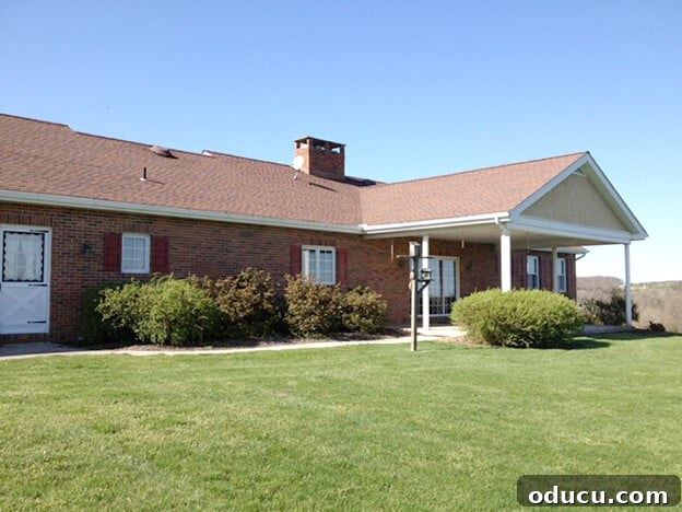 Ranch Renaissance: Modern Farmhouse Transformation 12 brick-ranch-house-before-backyard-view of 1970s home